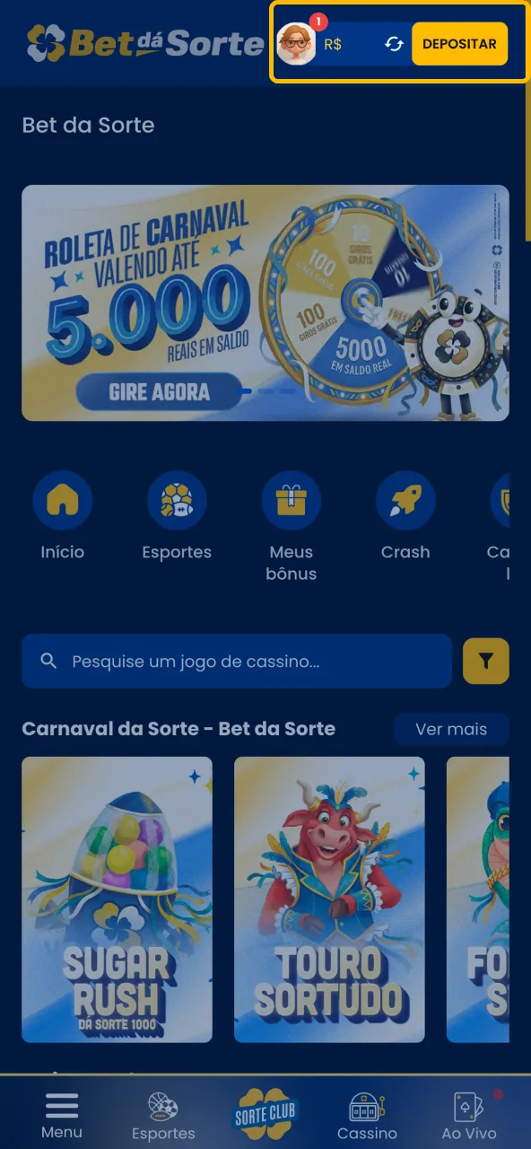 Bet da Sorte com área de gerenciamento financeiro disponível no painel.